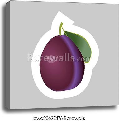 382x390 Vector Plum Icon, Canvas Print Barewalls Posters Prints