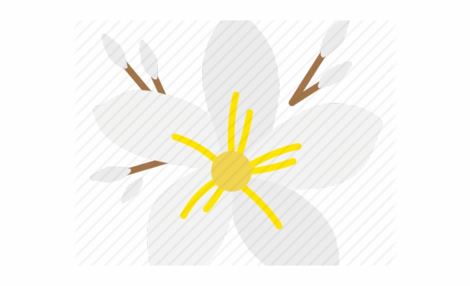 920x560 Frangipani Icon Png, Transparent Png Download For Free