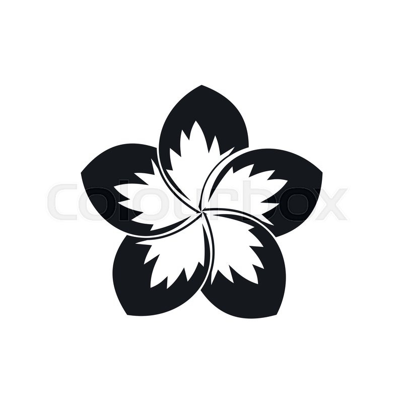 800x800 Frangipani Flower Icon In Simple Style Stock Vector Colourbox