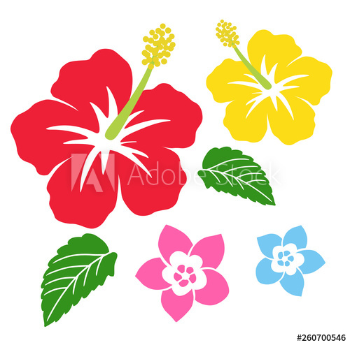 500x494 Hibiscus And Plumeria Icon