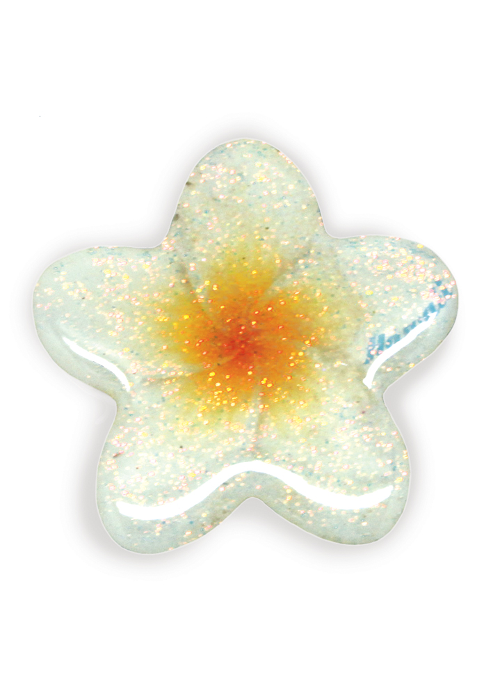 686x1000 Island Icon Magnet Plumeria Details