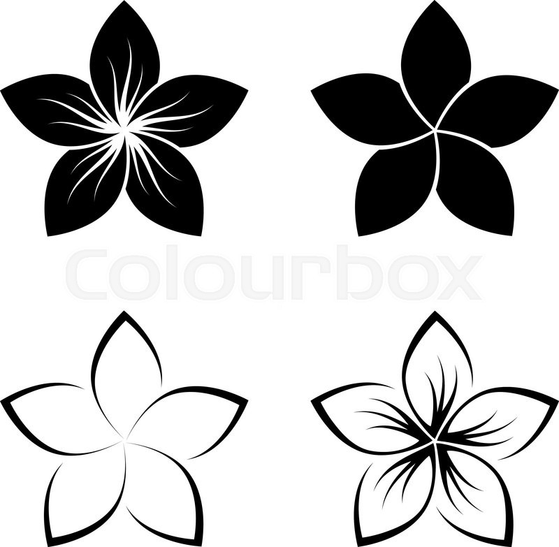 800x783 Plumeria Flower Silhouette