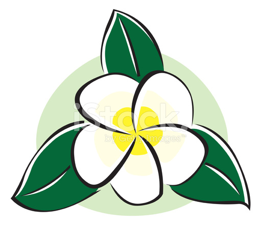 511x440 Plumeria Icon Stock Vector