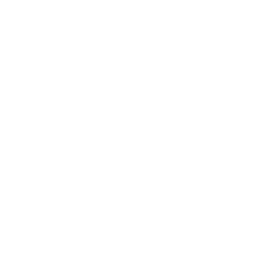 Free White Google Plus Icon 256x256 Free White Google Plus Icon