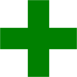 256x256 Green Plus Icon