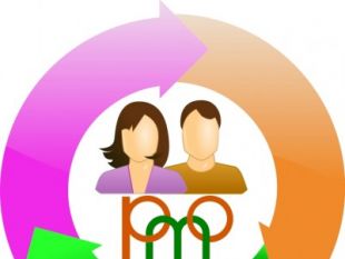 310x233 Pmo Icon Free Icon Packs Ui Download