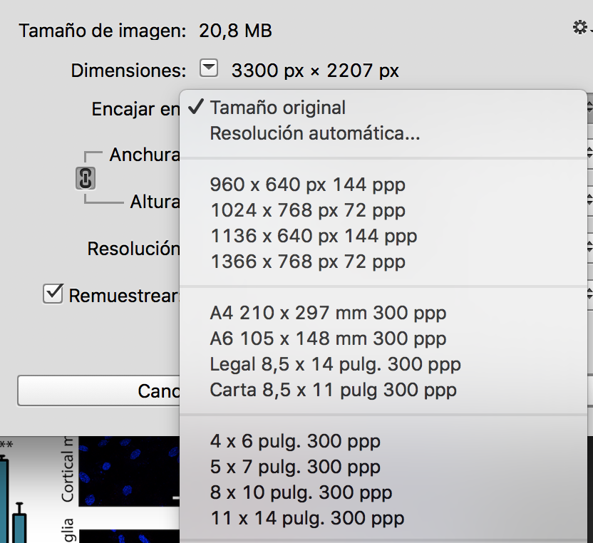 832x762 How Can I Convert Dpi Image To Dpi As Per Journal Requirement