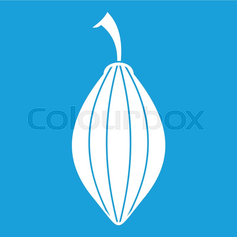 800x800 Black Cardamom Pod Icon White Isolated Stock Vector Colourbox