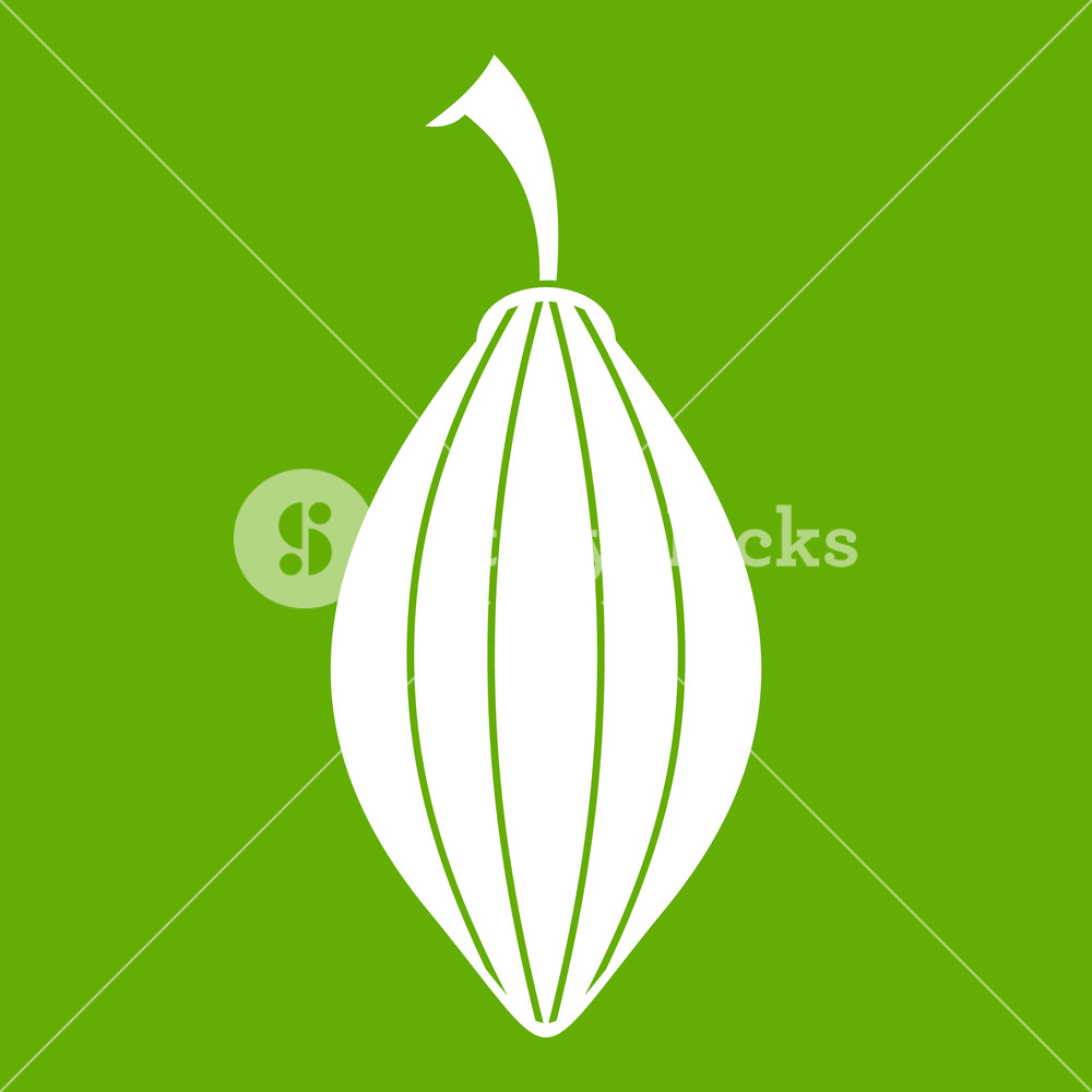 1000x1000 Black Cardamom Pod Icon White Isolated On Green Background Vector