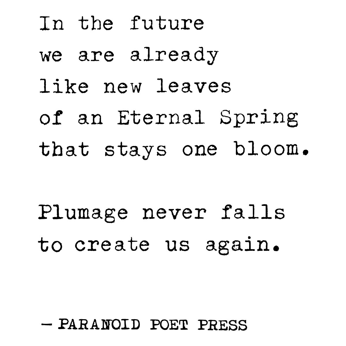 1200x1200 Paranoid Poet Press Poem
