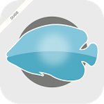 150x150 Chat Pof Dating Tips Apk