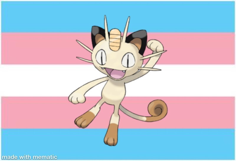 800x546 Meowth Icons Tumblr