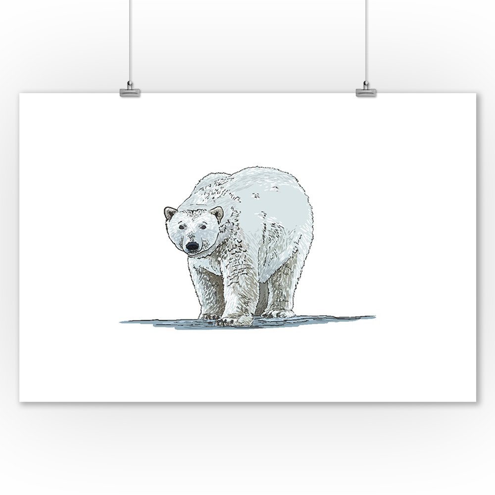 1000x1000 Polar Bear