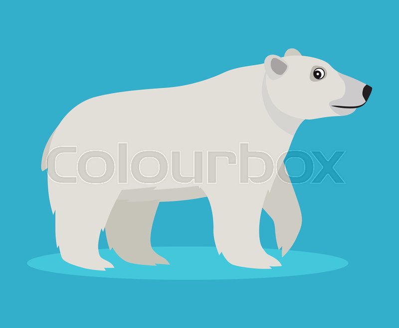 800x659 Cute Big Polar White Bear Icon, Stock Vector Colourbox