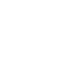256x256 White Police Icon