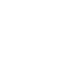 256x256 White Police Icon