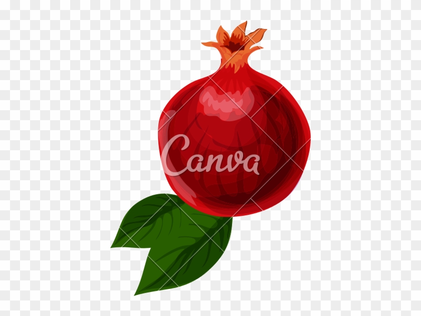 840x631 Pomegranate Icon