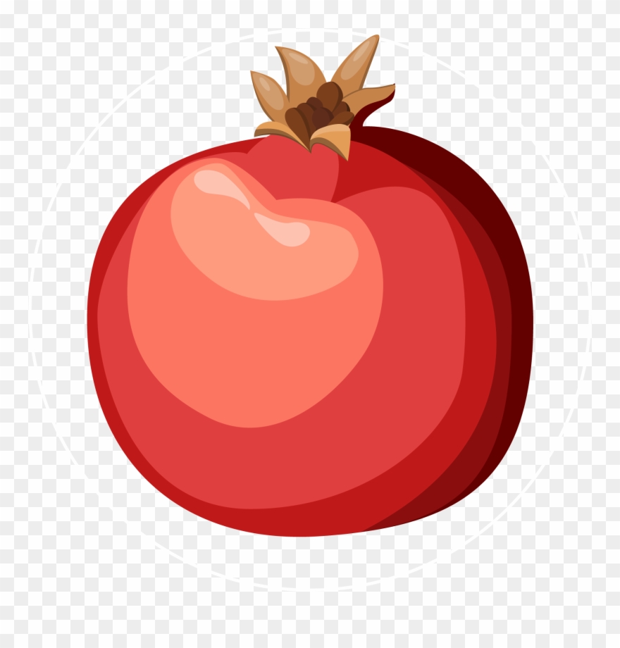 880x920 Pomegranate Icon