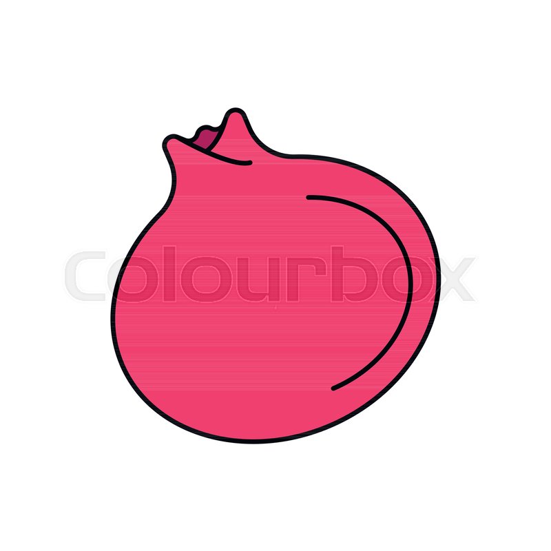 800x800 Pomegranate Icon Cartoon Pomegranate Stock Vector Colourbox