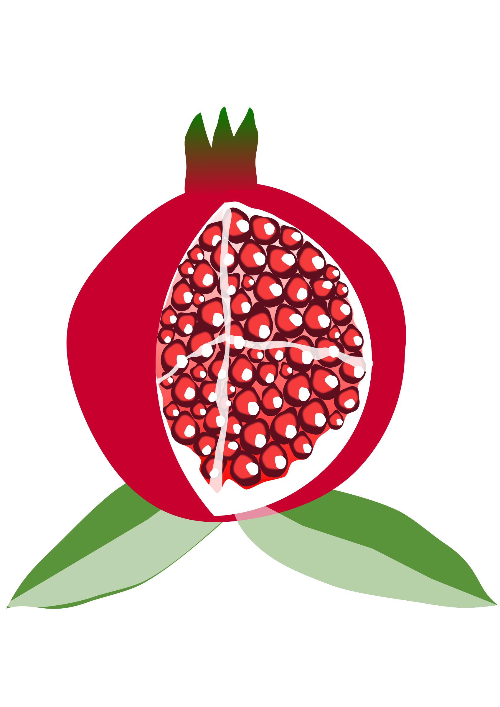 1697x2400 Pomegranate Fruit Icons Png
