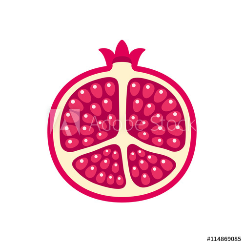500x500 Pomegranate Icon Illustration
