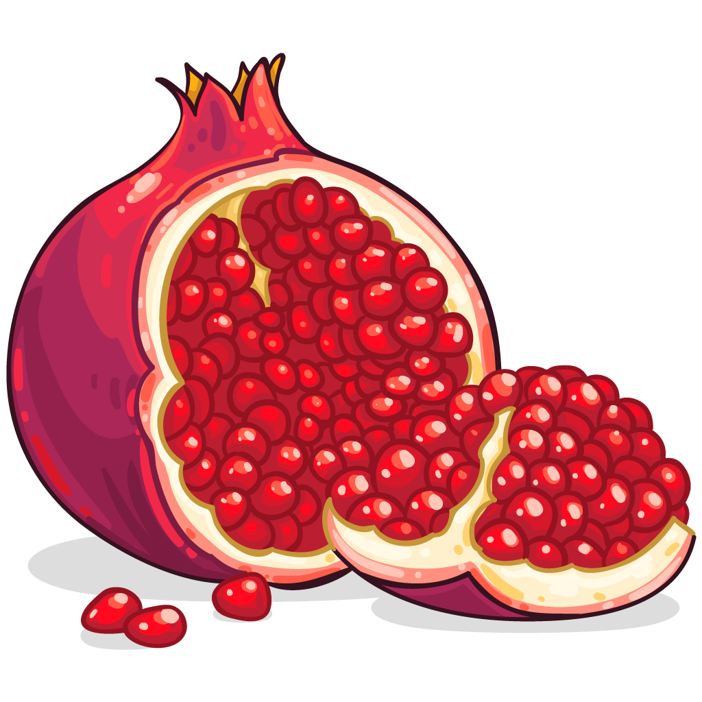 1024x1024 Icon Free Download Pomegranate Vectors