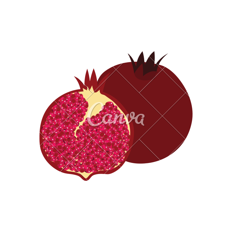 800x800 Icon Of Pomegranate