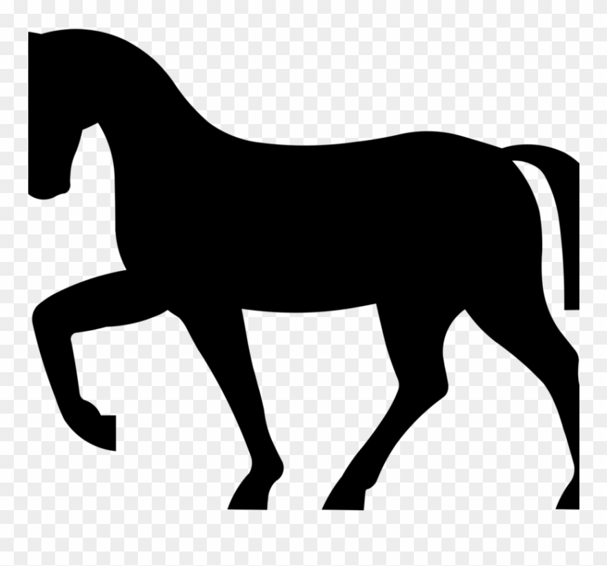 Andalusian Horse Computer Icons Pony Australian Stock 880x821 Andalusian Horse Computer Icons Pony Australian Stock