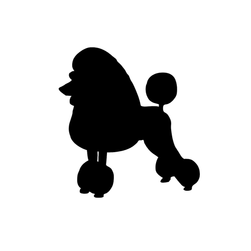 500x500 Poodle Dog Wall Sticker