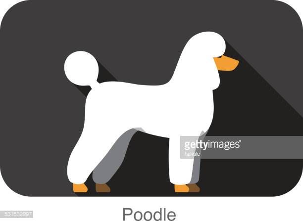 612x447 Poodle Dog Body Flat Icon Design Poodle Jewelry Flat Design
