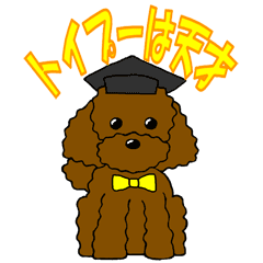240x240 The Toy Poodle Is A Genius Line Stickers Line Store