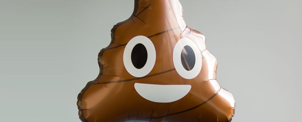 1024x415 There Are People Amongst Us Whose 'super Poop' Can Treat Serious