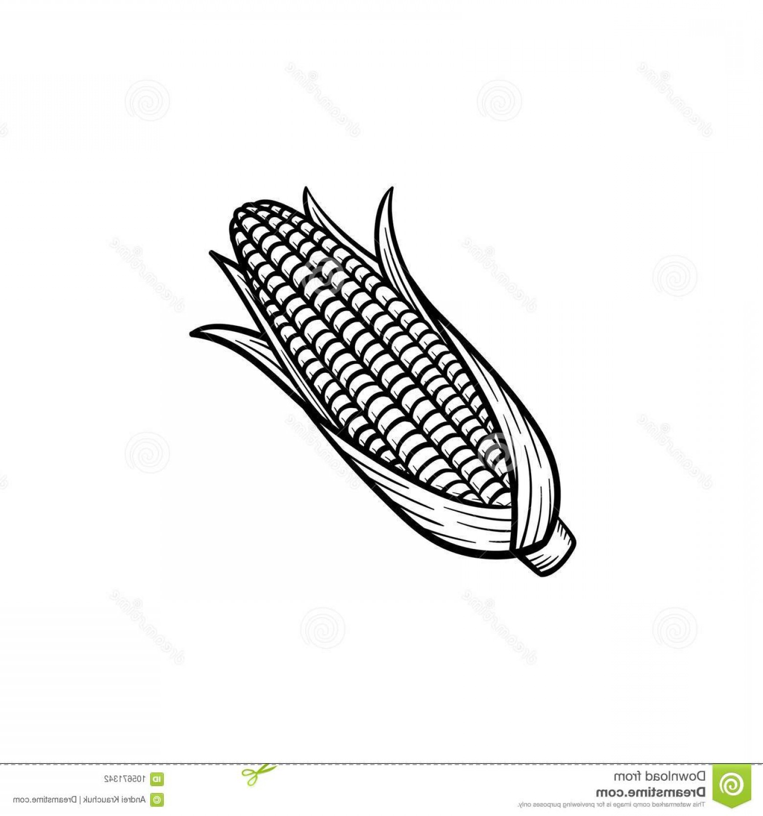 1560x1668 Popcorn Seed Vector Graphics Studiogrfx