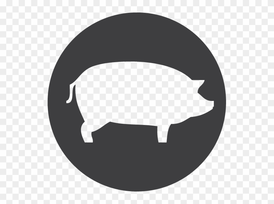 Bacon, Domestic, Farm, Pig, Piglet, Pork Icon 880x653 Bacon, Domestic, Farm, Pig, Piglet, Pork Icon