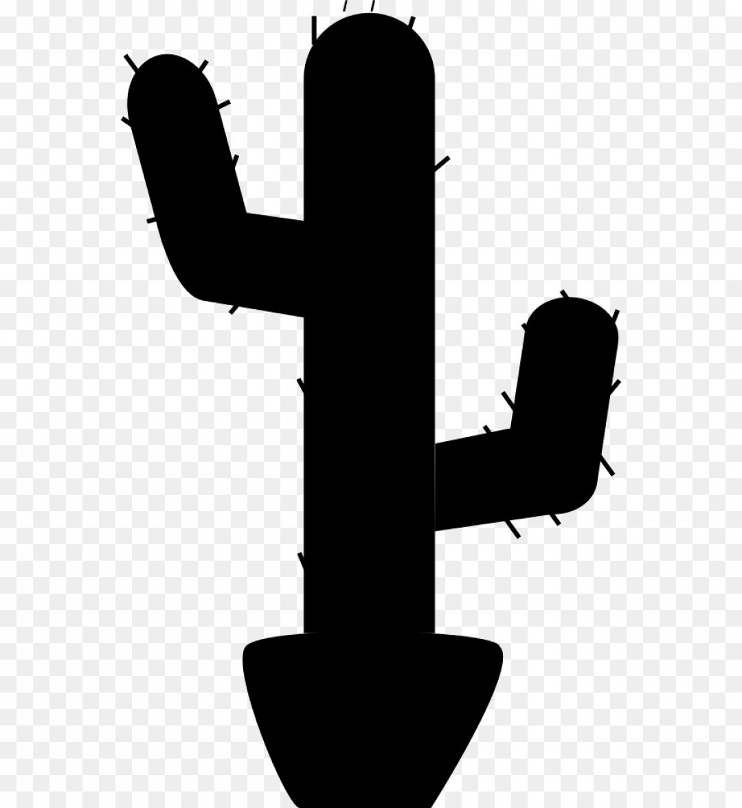 1080x1176 Png Clip Art Cactus Computer Icons Portable Network Gr Soidergi