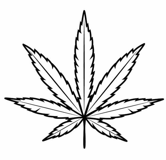 570x548 Collection Of 'pot Leaf Drawing' Download More Than Images