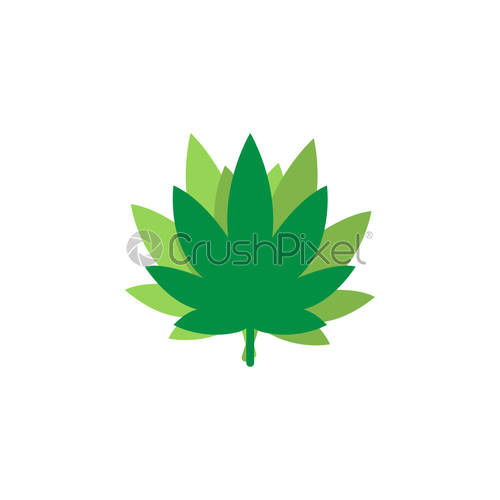 500x500 Marijuana Leaf Logo Icon Graphic Design Template, Stock Vector