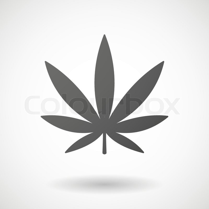800x800 Marijuana Leaf Icon With Shadow On Stock Vector Colourbox