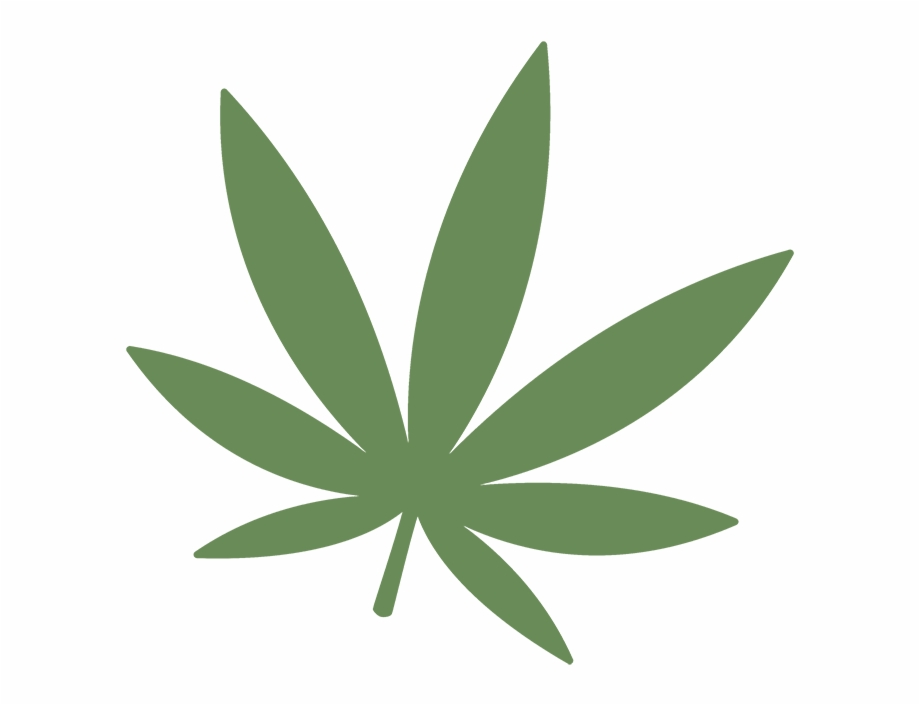 920x705 Bigstock Marijuana Leaf Icon On White August
