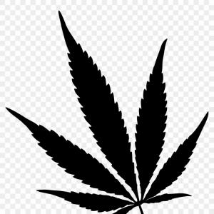300x300 Photostock Vector Cannabis Leaf Icon Outline Illustration