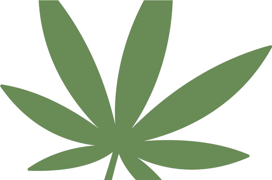 1050x696 Bigstock Marijuana Leaf Icon On White August
