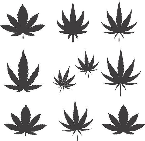 600x583 Cannabis Marijuana Leaf Icon Vector Illustration Art Print