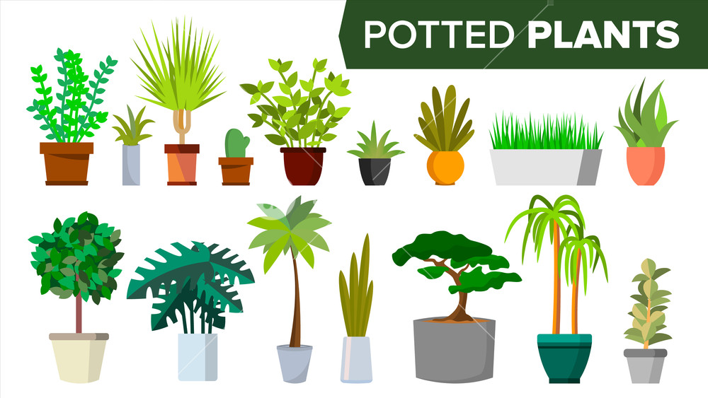 1000x563 Potted Plants Set Vector Indoor Home, Office Modern Style