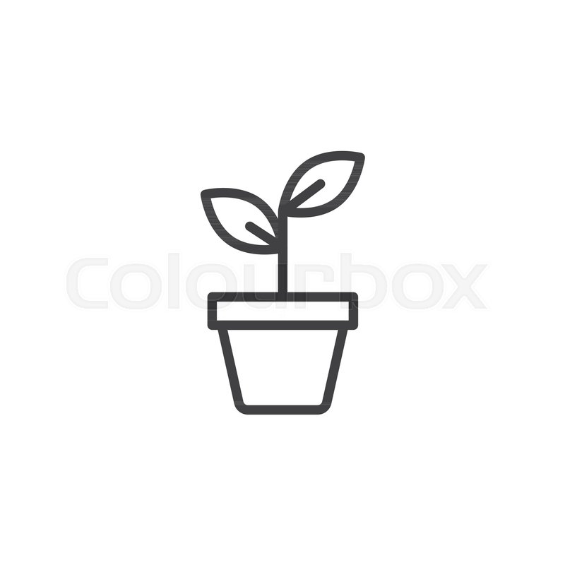 800x800 Potted Plant Outline Icon Linear Stock Vector Colourbox