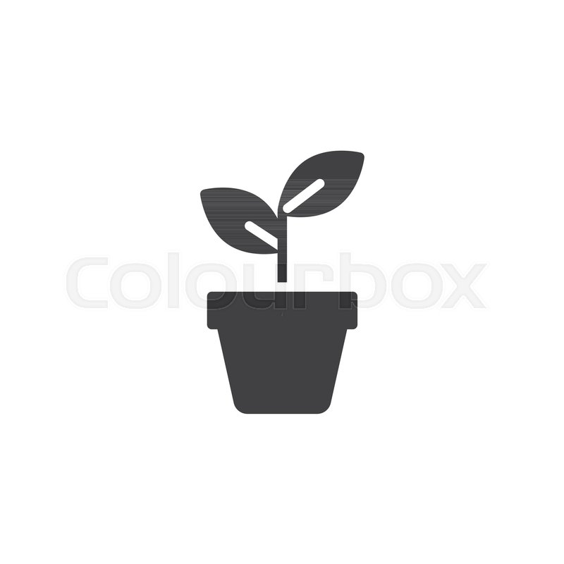 800x800 Potted Plant Vector Icon Filled Flat Stock Vector Colourbox