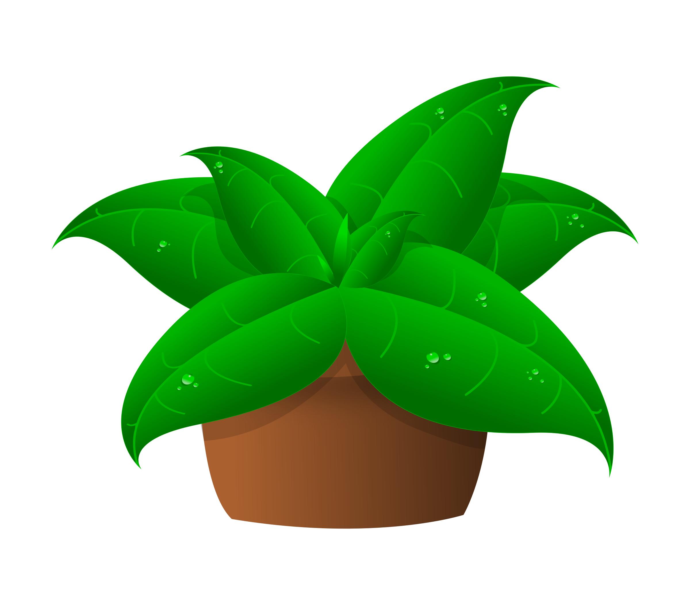 2400x2105 Plants In Pot Icons Png