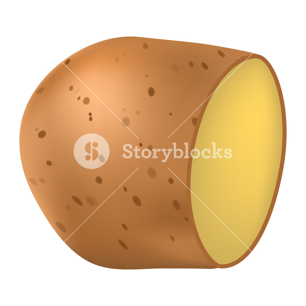 1000x1000 Classic Clean Potato Icon Realistic Illustration Of Classic Clean