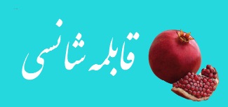 325x152 Icon Yalda Potluck I C O N Iranian Community Of The Northeast