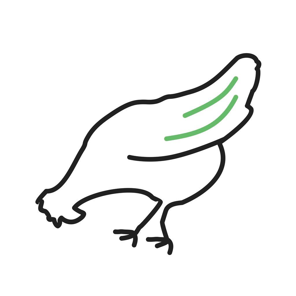 1024x1024 Chicken Line Green Black Icon