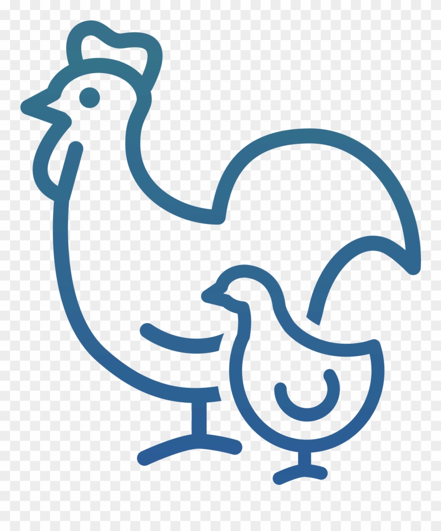 880x1060 Icon Poultry Egg Production Clipart